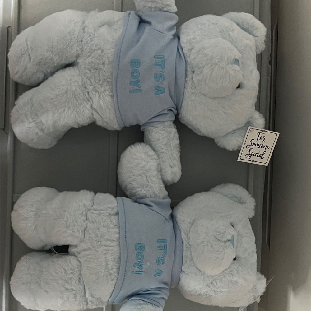 Blue Teddy Bear Plush Toy